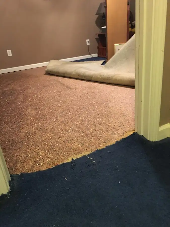 Carpet pad removal revealing water damage during Water Mitigation Services in Hibbing